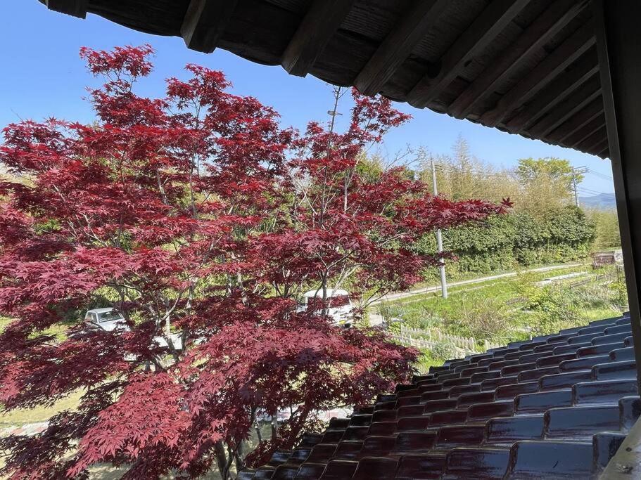 ガーデンハウス道楽亭 Villa Sado Buitenkant foto